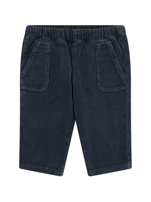 Pegaso velvet trousers - Blue
