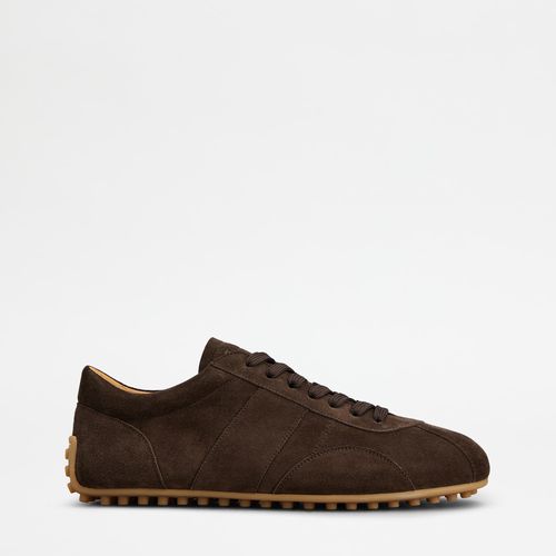 Tods Tod's - T Marathon Sneakers in Suede, BROWN, - Shoe