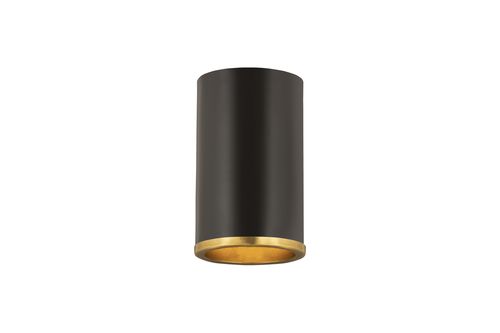 Arlo 1-Light Flush Mount Ceiling Light In Matte Black With Rubbed Bra