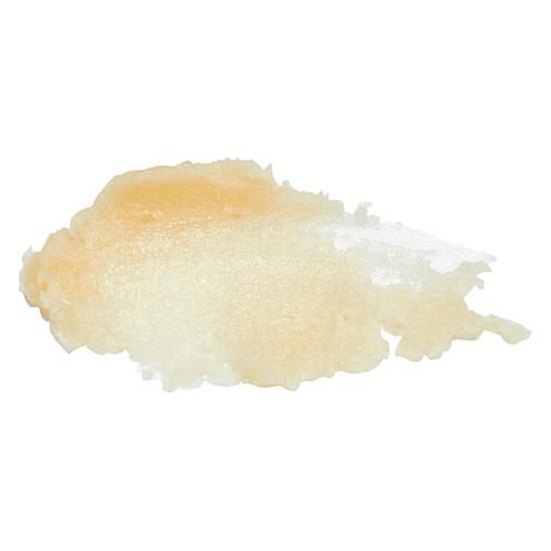 Shea and Moringa Balm