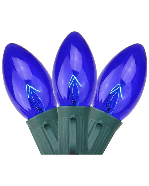Northlight 25 Blue Transparent C9 Christmas Lights - 24 ft Green Wire