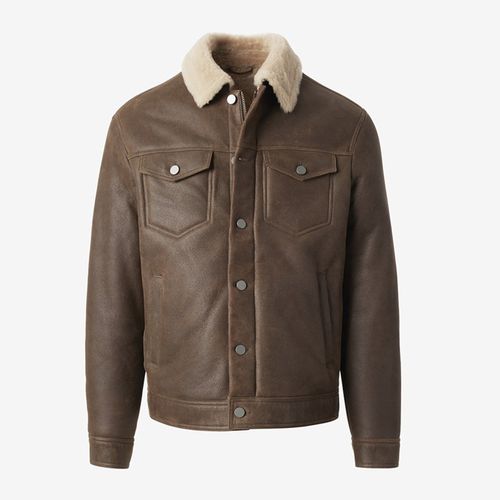 Shearling Trucker Jacket in Brown