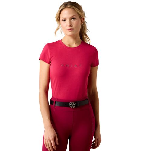 Women's The Logo T-Shirt in Granita, Size Large, by