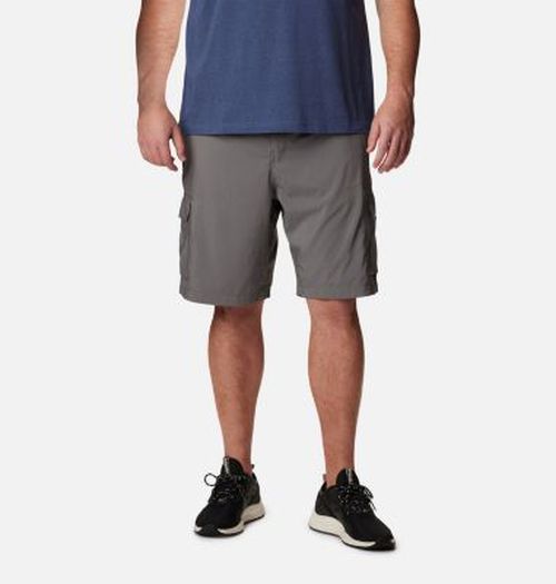 Men's Silver Ridge Utility  Cargo Shorts   Big-