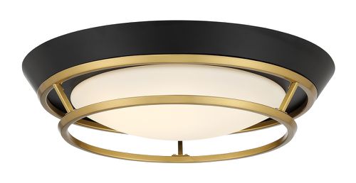 Coal And Satin Brass LED Flush Mount from the Beam Me Up Collection