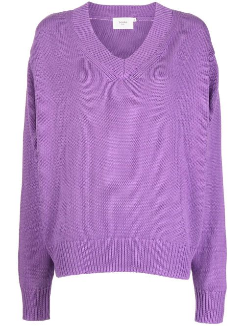 V-neck knit jumper - Purple