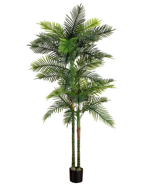 8ft UV-Resistant Artificial Double Robellini Palm Tree  (Indoor/Outdoor)