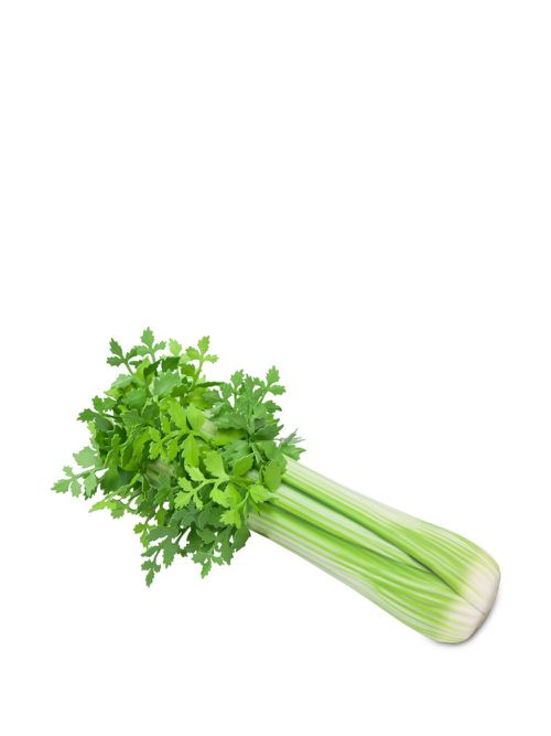 Celery-shaped faux-leather clutch bag - Green