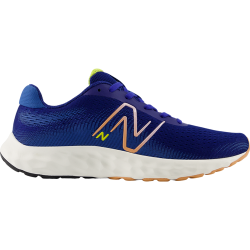 New Balance 520 V8 Womens Running Shoe