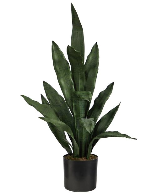 2Ft Sansevieria Artificial Plant