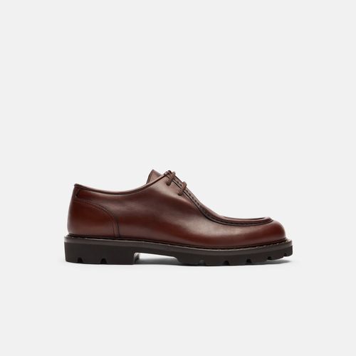 Damiano Burgundy
