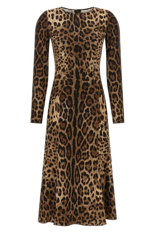Animal Print Dress