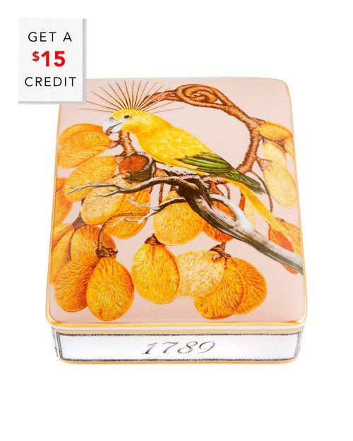 Amazonia Light Card Box with $15 Credit