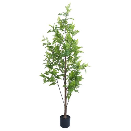 Premium Real Touch Artificial Bracken Palm Tree 180c