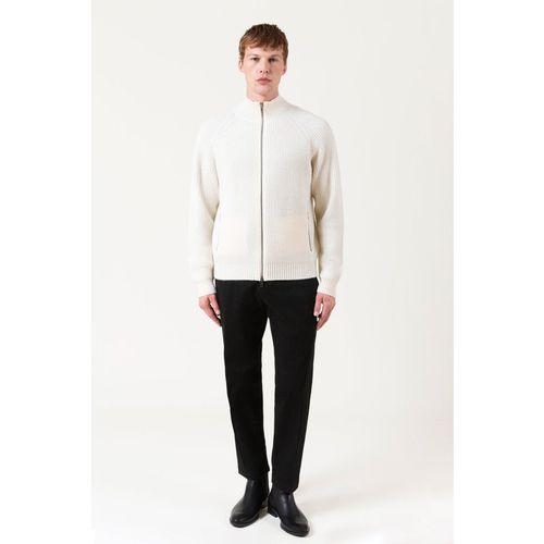 Shirt & Knit