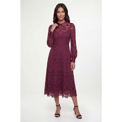 Wallis Womens Lace Collar Midi Dress - Berry Cotton