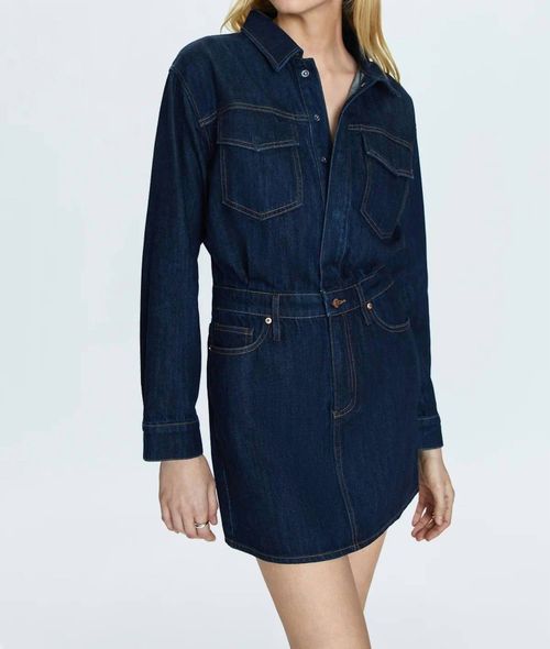 Nina Mini Dress In Iggy