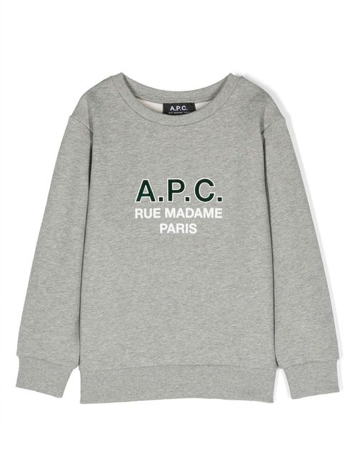 Logo-print cotton sweatshirt - Grey