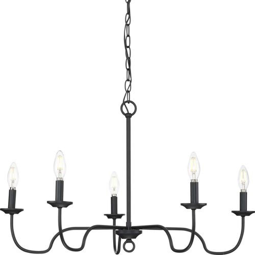 Matte Black Five Light Chandelier from the Canebrake Collection
