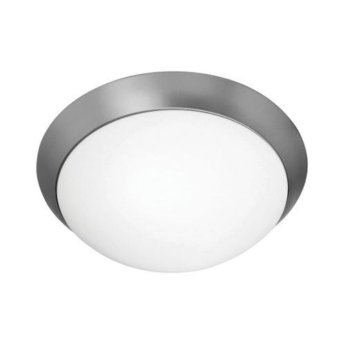 Access Cobalt 2-Light Ceiling Light in Brushed Stee