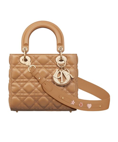 Small Lady Dior My ABCDior Bag