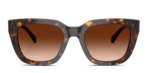 HC8318 Tortoise,Brown