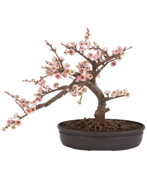 Artificial Cherry Blossom Bonsai Tree - Pink
