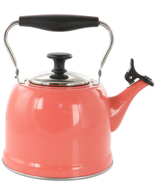 Everyday Lily Pond 2.2qt Stainless Steel Tea Kettle