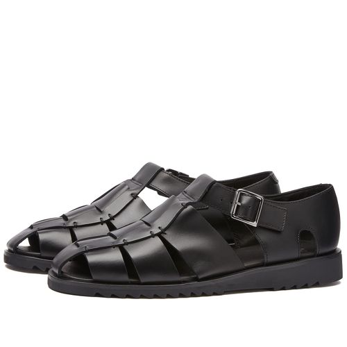 Men's Pacific Sandal in Black