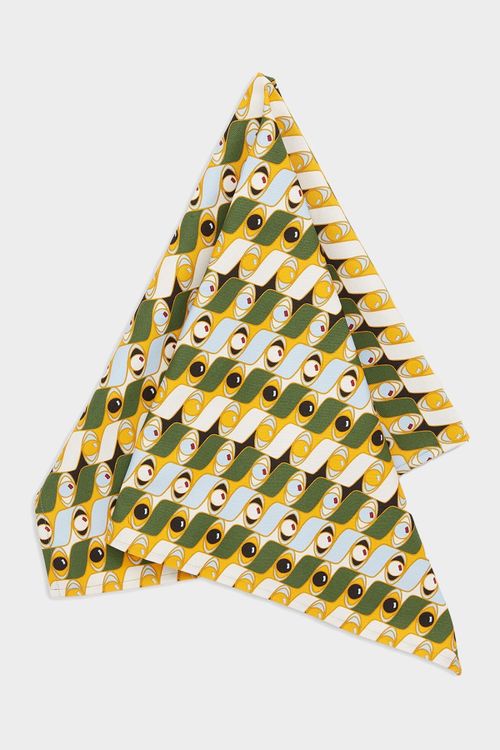 Dishtowel in Third Eye