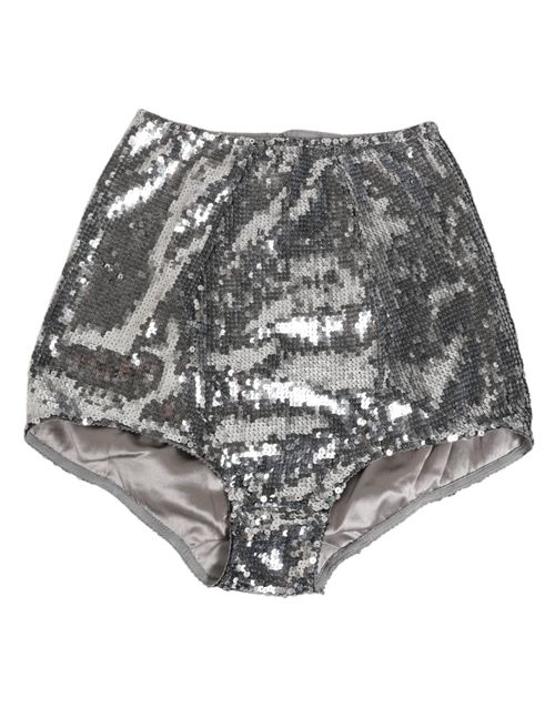 Silver Sequined Slip Briefs — Silver