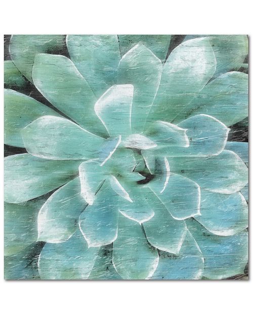 Wall Decor Succulent Memory I Canvas Wall Art