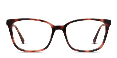Davina Tortoise