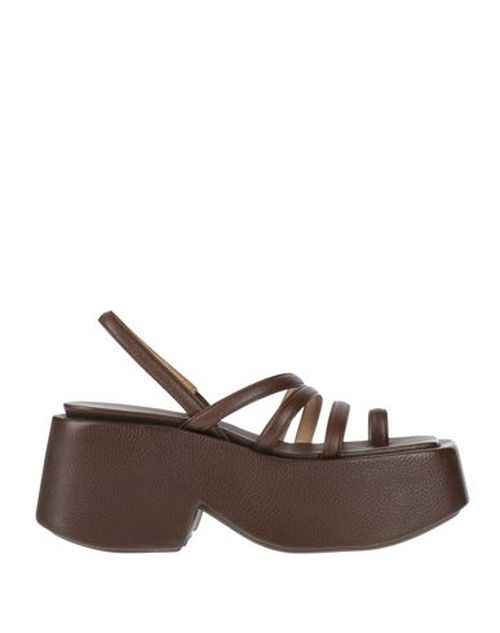 Marsèll Woman Thong sandal Brown