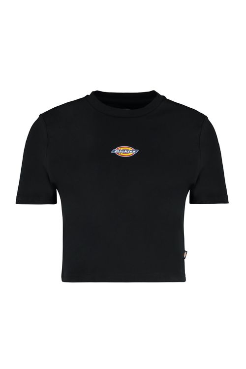 Dickies Maple Valley Logo Detail Cropped T-Shirt