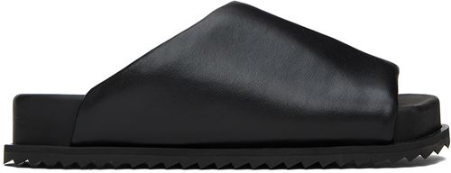 Black finned slides
