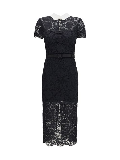 Lace Contrast Collar Dress — Black