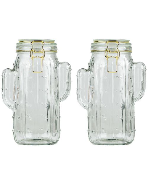 Set Of 2 Saguaro Large Hermetic Jars