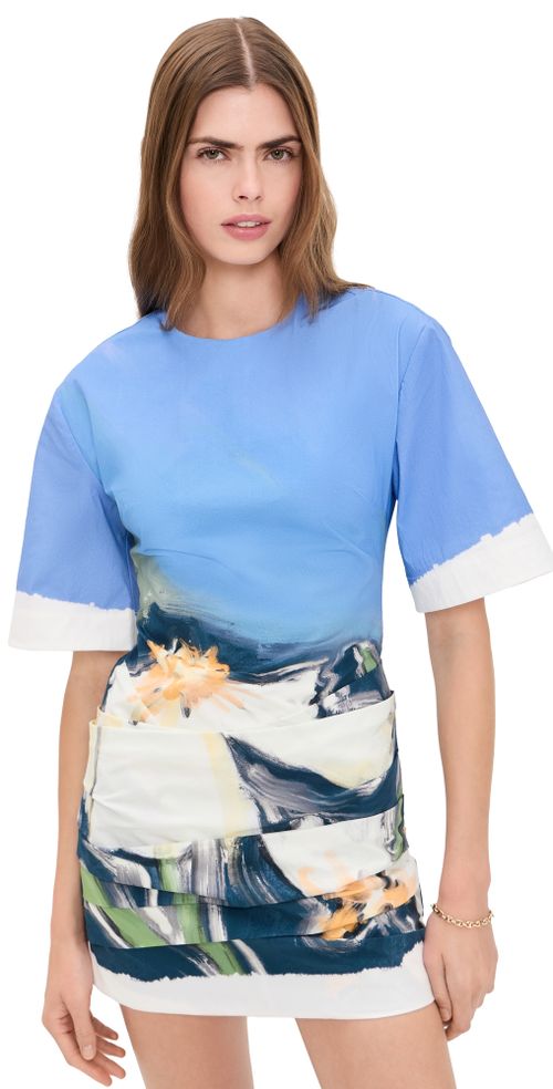 Beaux Mni Dress Posy Impression