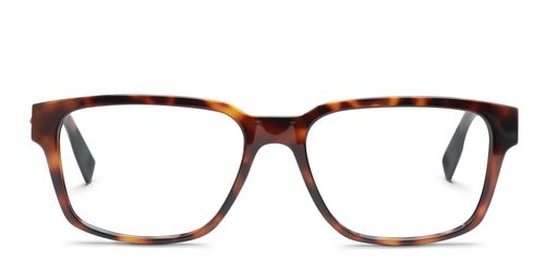 L2927 Tortoise