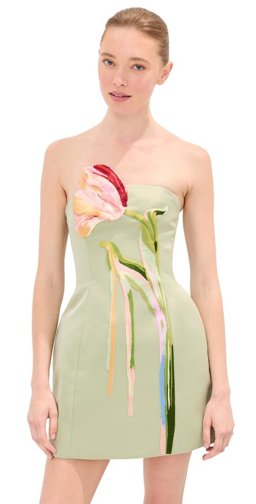 Roselle Bustier Mini Dress Tulip Print in Green