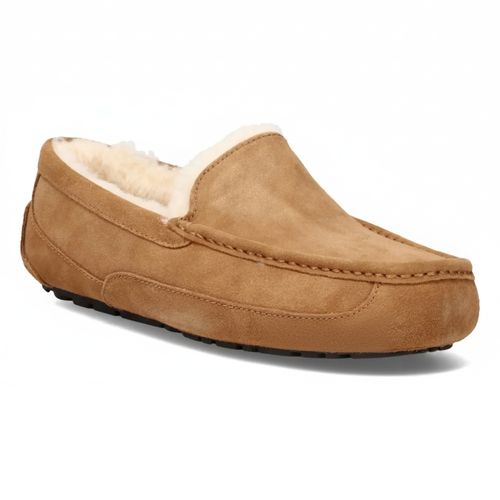 Men's Ascot Slippers