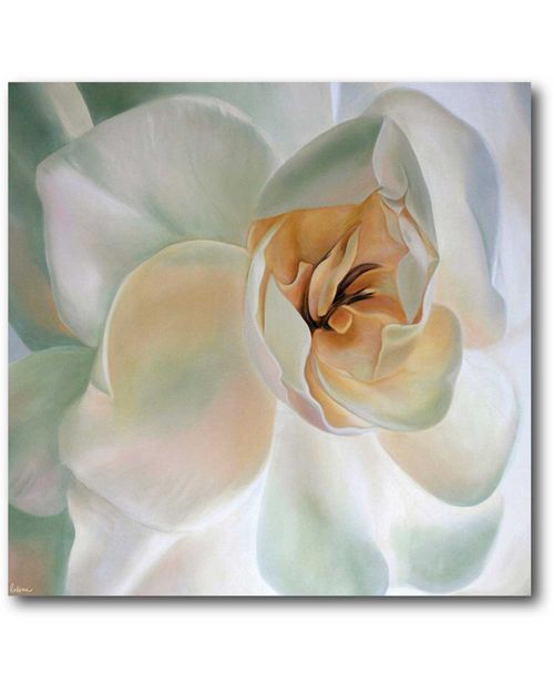 Wall Decor White Flower II Canvas
