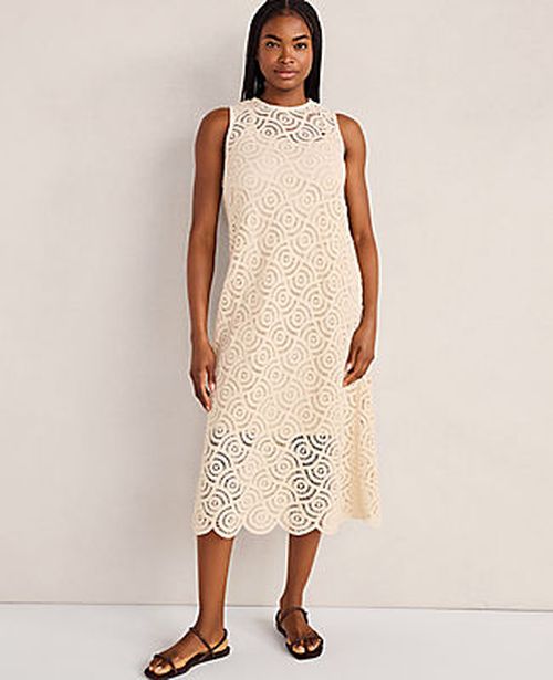 Ann Taylor Haven Well Within Cotton Crochet Scalloped Midi Dress