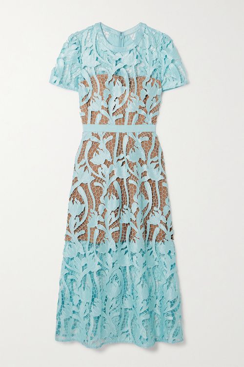Grosgrain-trimmed Embroidered Satin And Guipure Lace Midi Dress - Blue