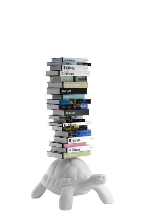 'Turtle Carry Bookshelf' Bookshelf