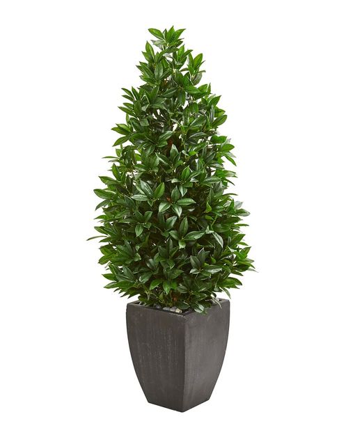 56In Bay Leaf Cone Topiary Uv-Resistant Artificial Tree In Planter (Indoor/Outdoor)