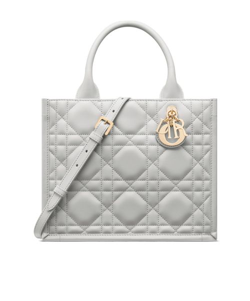 Small Dior Book Tote