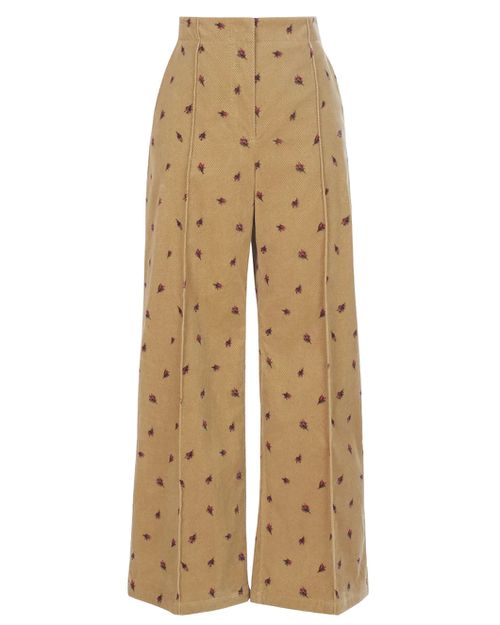 Barros Pant