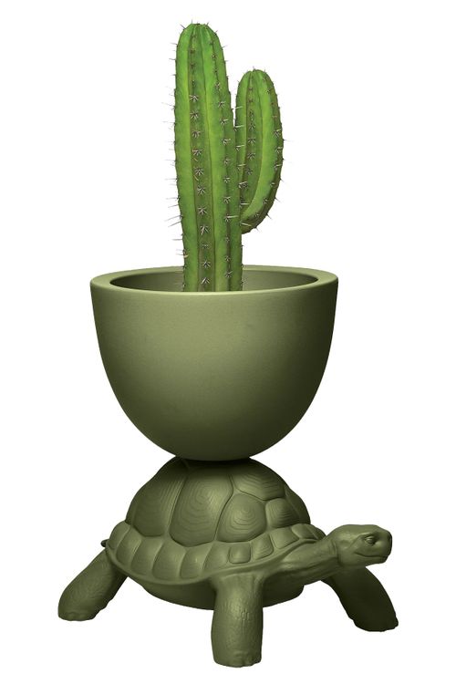 'Turtle Carry Planter And Champagne Cooler' Vase